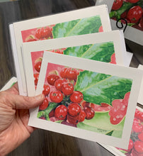 Load image into Gallery viewer, Holly Notecards, pack of 3