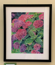Load image into Gallery viewer, Hydrangea (Pink) Print, "Pink Bliss"