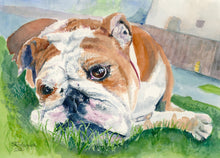 Load image into Gallery viewer, Pet Dog, Bulldog Painting, "Dog Days" - Original