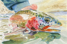 Load image into Gallery viewer, Rainbow Trout, "Swimming Rainbow", Greeting Card