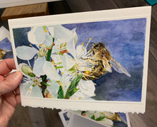 Load image into Gallery viewer, Honeybee on White Cherry Blossom Greeting Card, "Buzz Worthy"