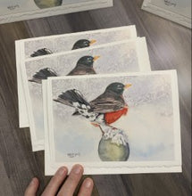 Load image into Gallery viewer, American Robin Greeting Card