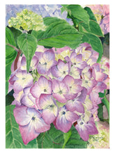 Load image into Gallery viewer, Hydrangea (Violet) Greeting Cards, "Violet Crown"