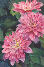 Load image into Gallery viewer, Dahlia Notecards, &quot;Dazzling Dahlias&quot; - 3 pack
