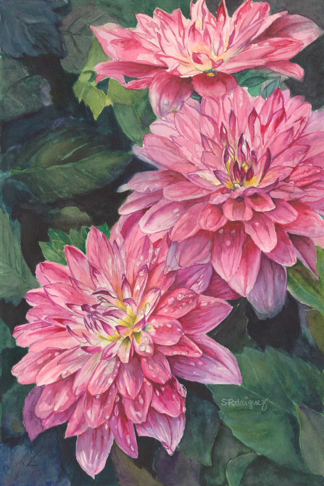 Dahlia Notecards, 