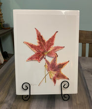 Load image into Gallery viewer, Maple Leaf print,  &quot;Autumn Leaves&quot;
