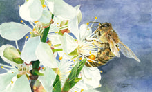 Load image into Gallery viewer, Honeybee on White Cherry Blossom Greeting Card, &quot;Buzz Worthy&quot;
