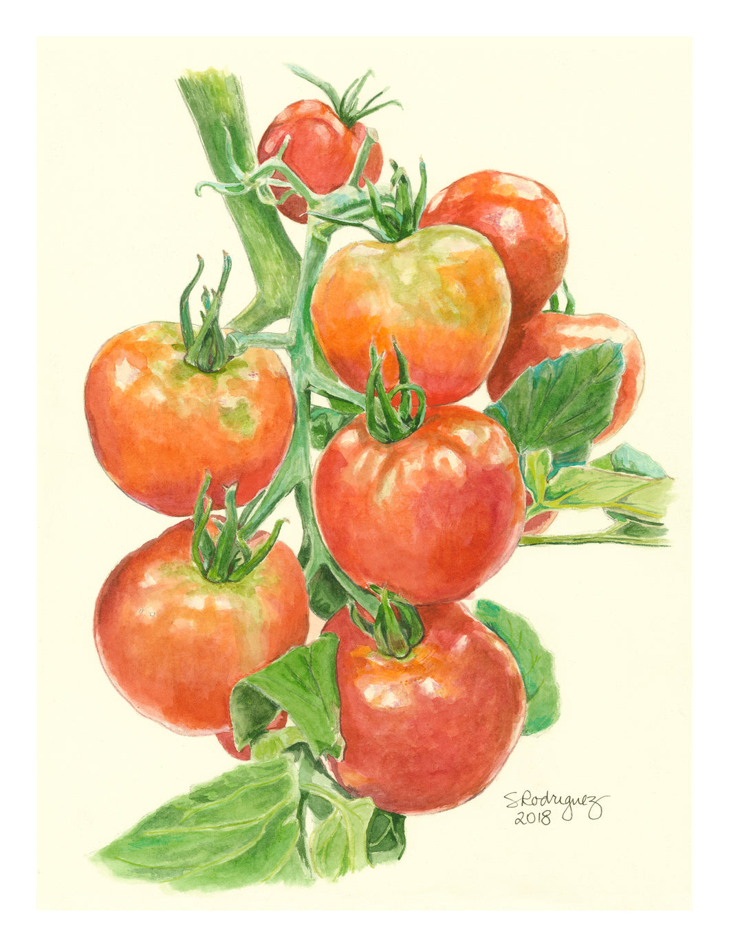 Tomatoes, Original Painting, 