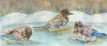 Load image into Gallery viewer, Baby Bluebirds Bathing Greeting Card, &quot;Fledgling Birdbath&quot;
