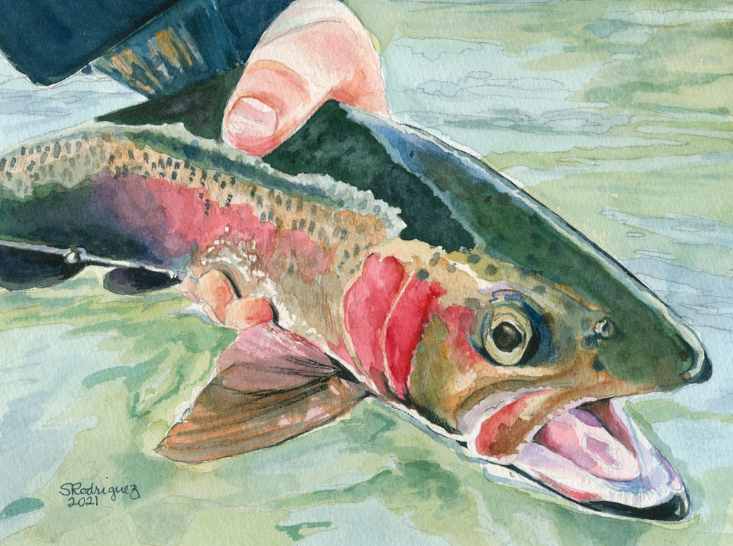 Rainbow Trout Painting, 