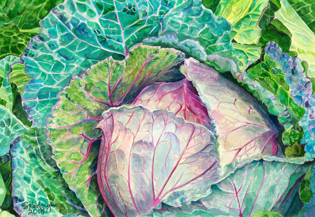 Cabbage Print, 