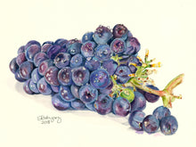 Load image into Gallery viewer, Grapes Greeting Card, &quot;Crisp and Sweet&quot;
