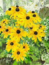 Load image into Gallery viewer, Rudbekia in the garden on a greeting card
