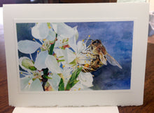 Load image into Gallery viewer, Honeybee on White Cherry Blossom Greeting Card, &quot;Buzz Worthy&quot;, printed on card
