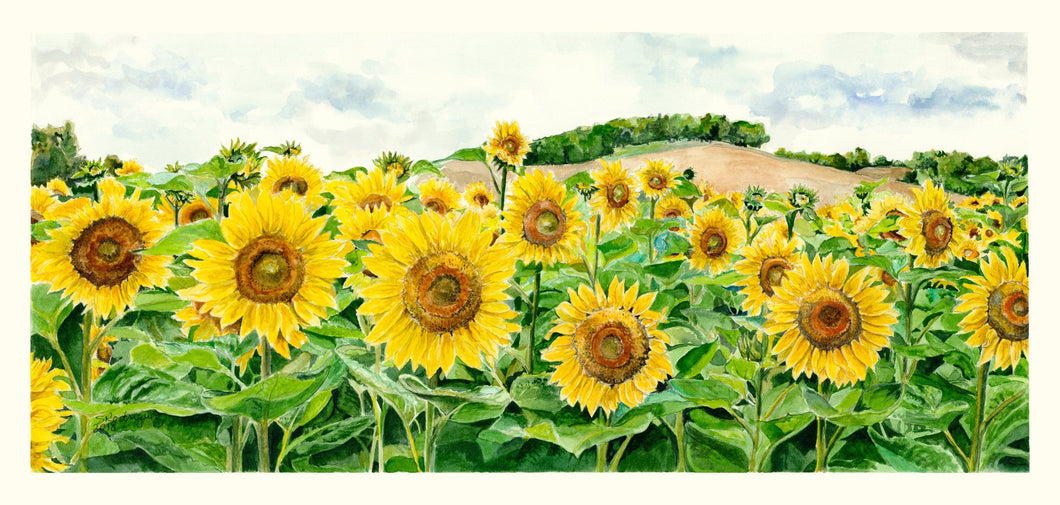 Sunflower Print, 