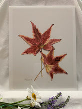Load image into Gallery viewer, Maple Leaf print,  &quot;Autumn Leaves&quot;
