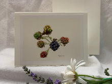 Load image into Gallery viewer, Blackberries Greeting Card, &quot;Transitions&quot;
