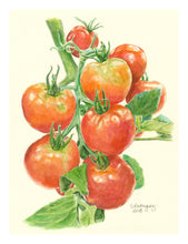 Load image into Gallery viewer, Tomatoes Greeting Card, &quot;February Dreams&quot;
