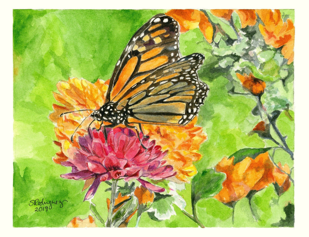 Monarch Butterfly Notecards, 