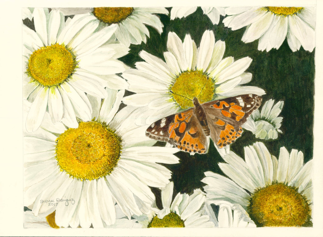 Daisies and Butterfly Print, 