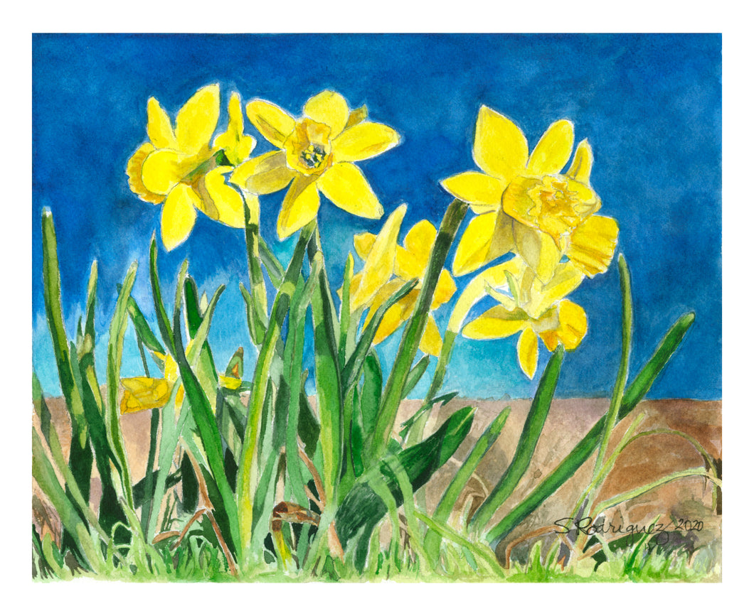 Daffodil Print - 
