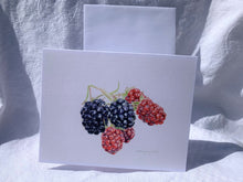 Load image into Gallery viewer, Blackberries &quot;Little Gems&quot; Notecards - pack of 3
