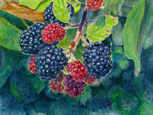 Load image into Gallery viewer, Faith, Hope, Love: Blackberries Print - &quot;Love&quot;
