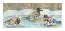 Load image into Gallery viewer, Bluebirds playing in birdbath
