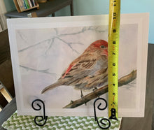 Load image into Gallery viewer, Red House Finch Print
