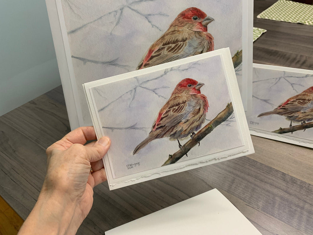 Red House Finch, Greeting Card