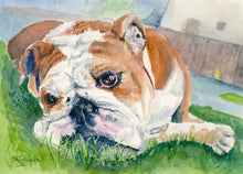 Load image into Gallery viewer, Pet Dog, Bulldog Painting, &quot;Dog Days&quot; - Original
