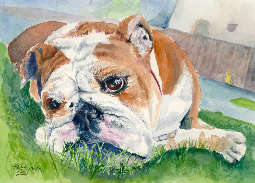 Pet Dog, Bulldog Painting, 