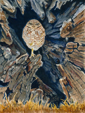 Load image into Gallery viewer, Burrowing Owl Print, &quot;The Witness&quot;
