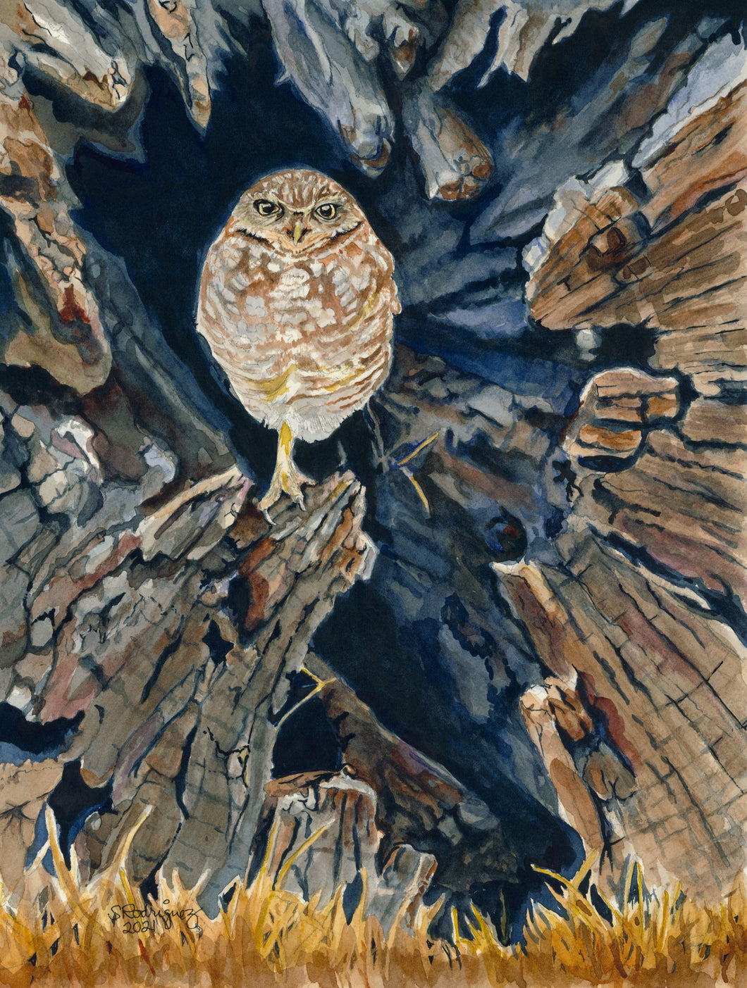 Burrowing Owl Print, 
