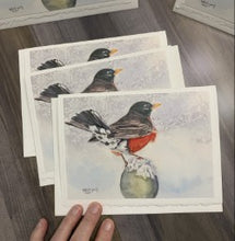 Load image into Gallery viewer, American Robin Greeting Card
