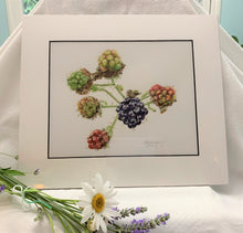 Load image into Gallery viewer, Blackberries Print, &quot;Transitions&quot;
